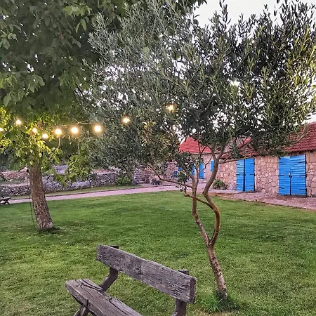 Marica Gaj *