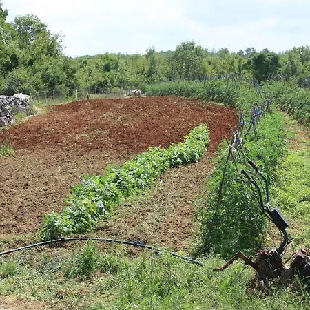 Marica Gaj Casa rural Grude