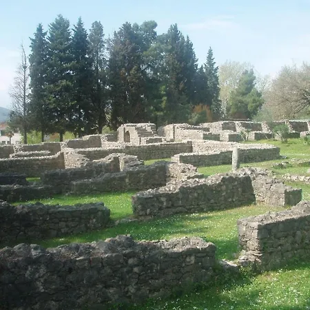 Marica Gaj *