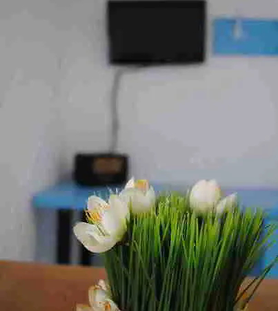 Marica Gaj *